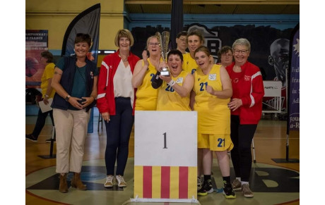 Championnat de France de para basket adapté